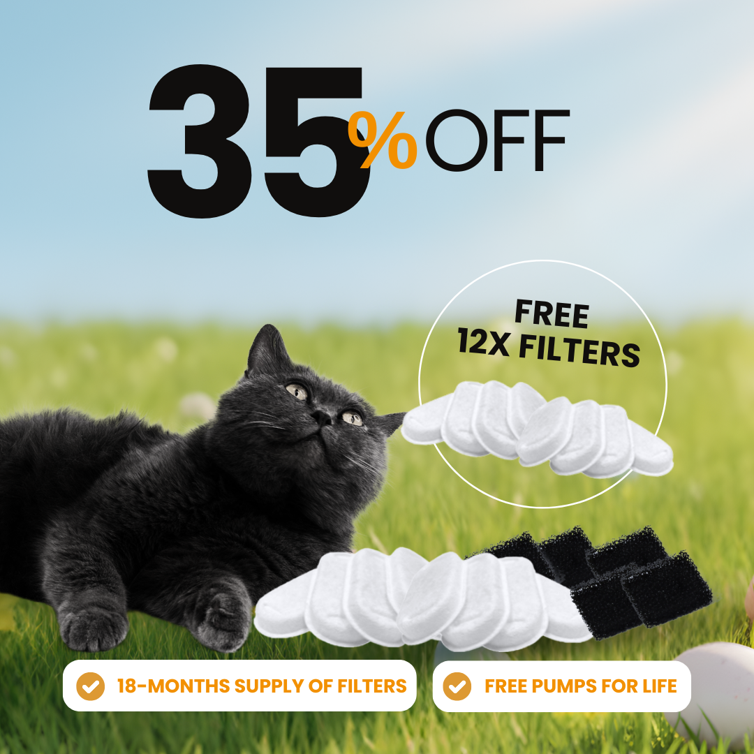 24x Filter Sets + 12x FREE - Filters for DoggySpout™