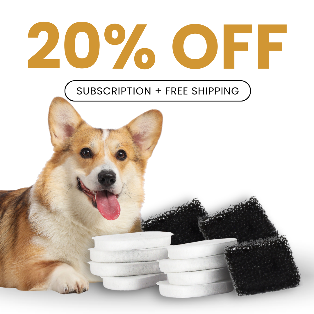 Buybae  Fountain Filters